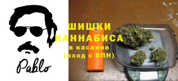 гидра Армянск