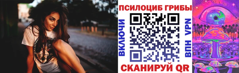 Псилоцибиновые грибы мицелий кракен рабочий сайт Гурьевск магазин продажи