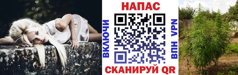 mega tor где купить наркоту Гурьевск Бошки марихуана сатива